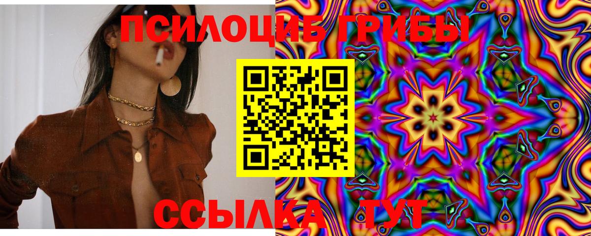 НБОМе Фролово