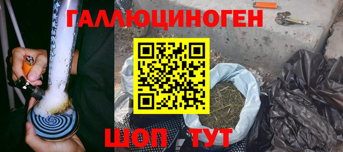 Галлюциногенные грибы Cubensis Фролово