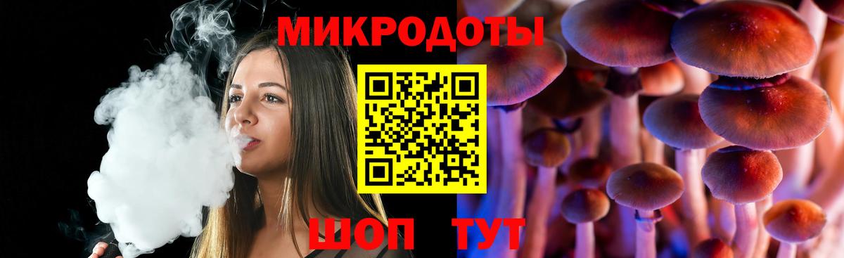 Фролово  Галлюциногенные грибы Psilocybe  Вход с VPN 