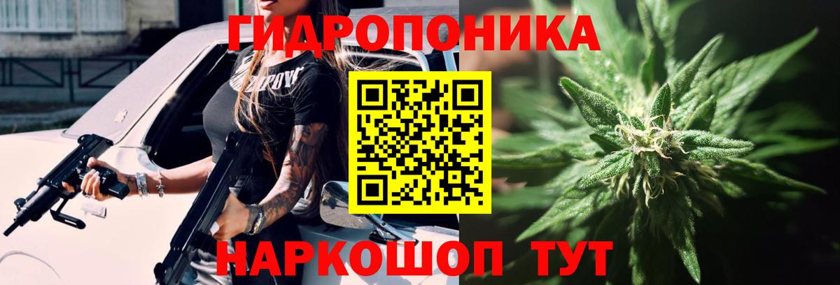 Марихуана конопля  Канабис семена  Вход с VPN  Марихуана тримм  Фролово  Бошки марихуана семена 